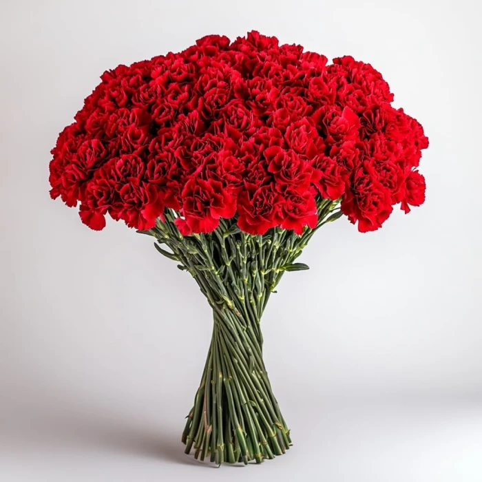 Carnations