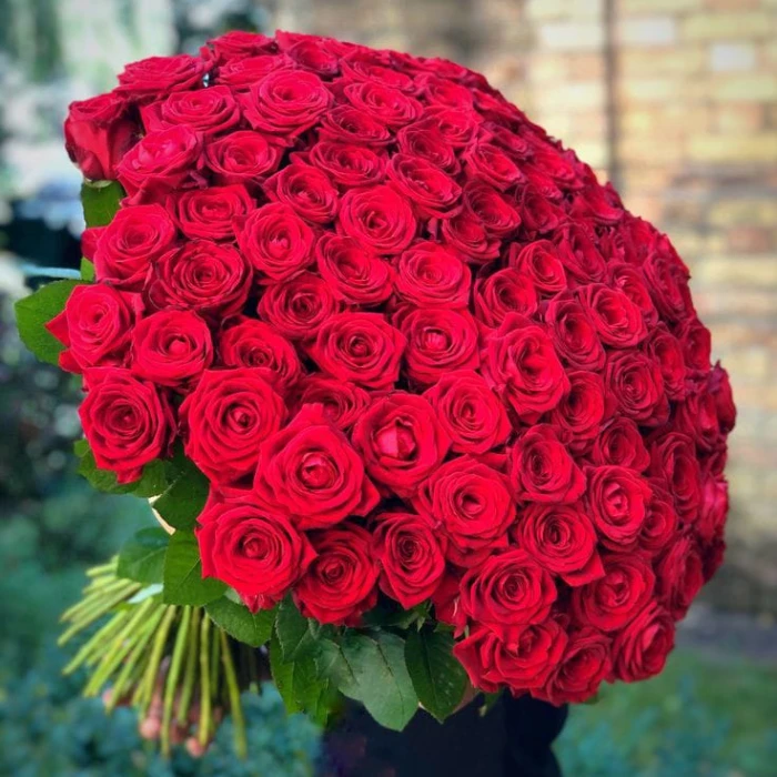 Roses