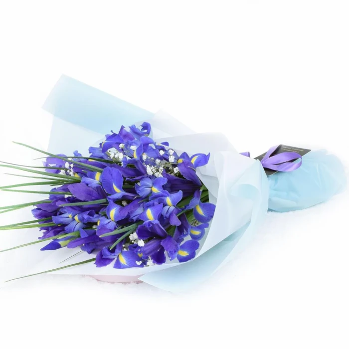 Iris