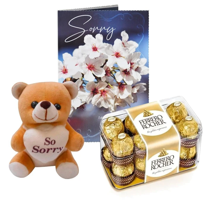 Apology Gift Set Sorry Card, Chocolate & Soft Teddy Bear