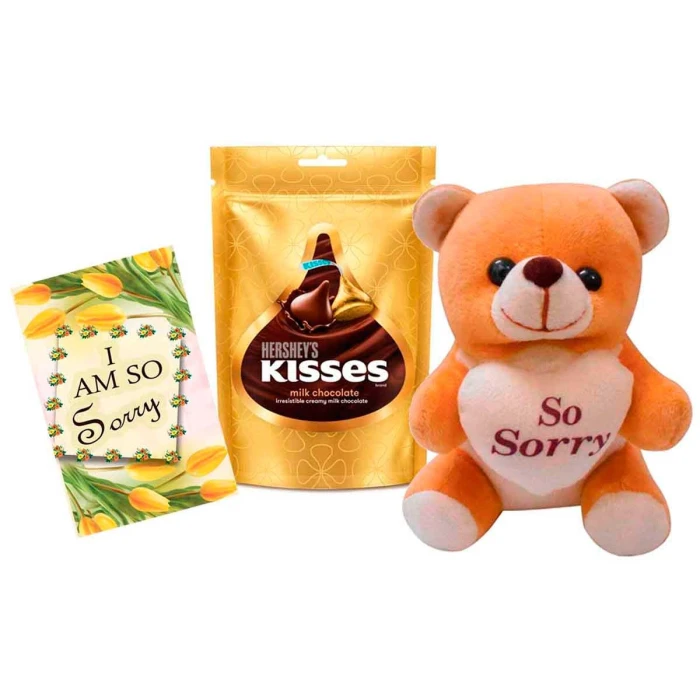Apology Gift Set Sorry Card, Chocolate & Soft Teddy Bear
