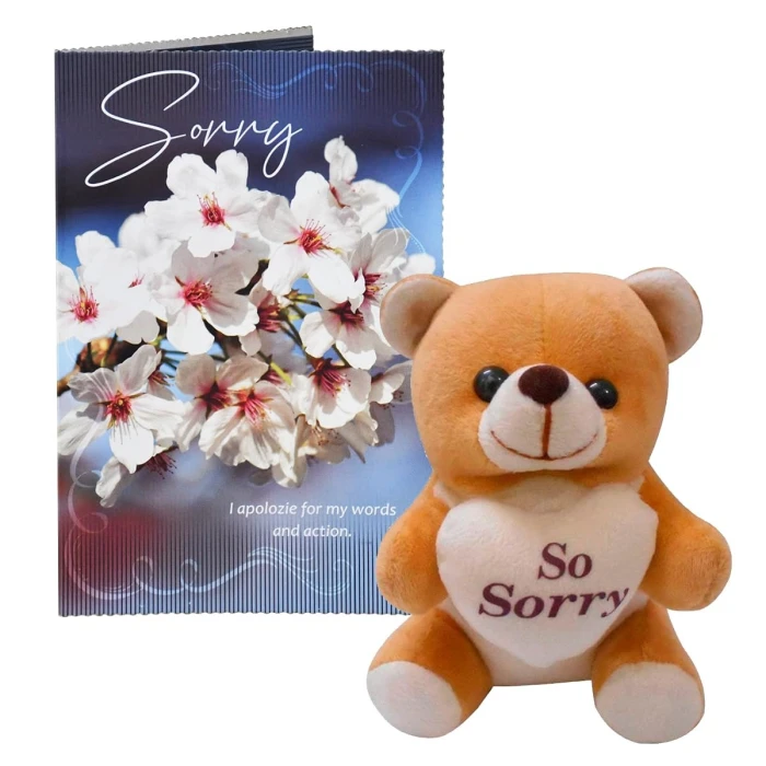 Sorry Gift Combo – Apology Greeting Card & Small Soft Teddy Bear