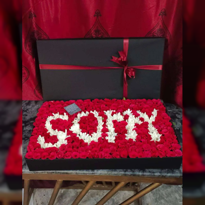 Sorry XXL Red Rose Box with Balloons Apology Flower Gift Pakistan