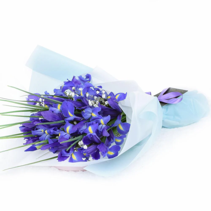 Lavish Lavender Iris Bouquet Violet Irises & Baby’s Breath