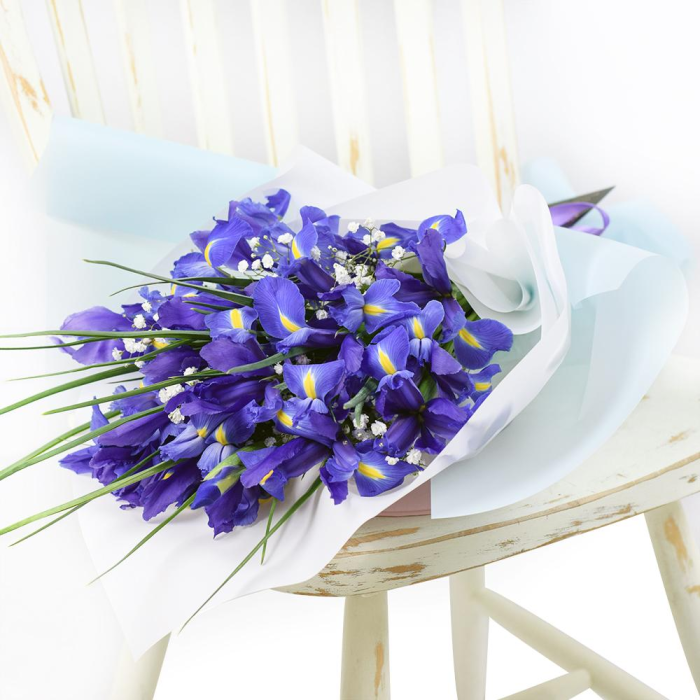 Lavish Lavender Iris Bouquet Violet Irises & Baby’s Breath cover image 1