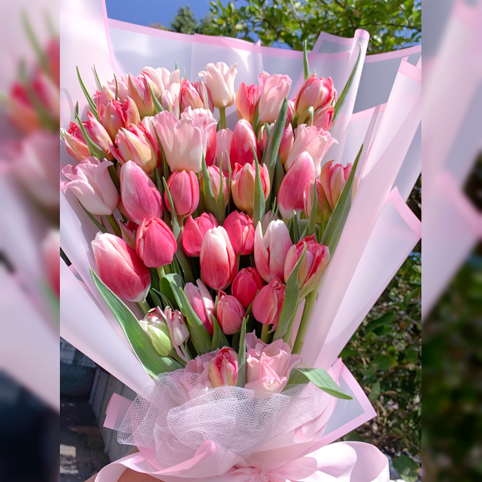 Pretty in Pink Tulip Bouquet cover image 1