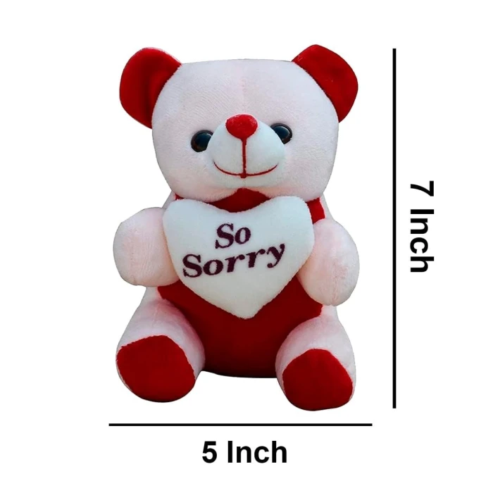 Sorry Gift Combo – Greeting Card, Sorry Teddy Bear & Romantic Couple Showpiece cover image 3