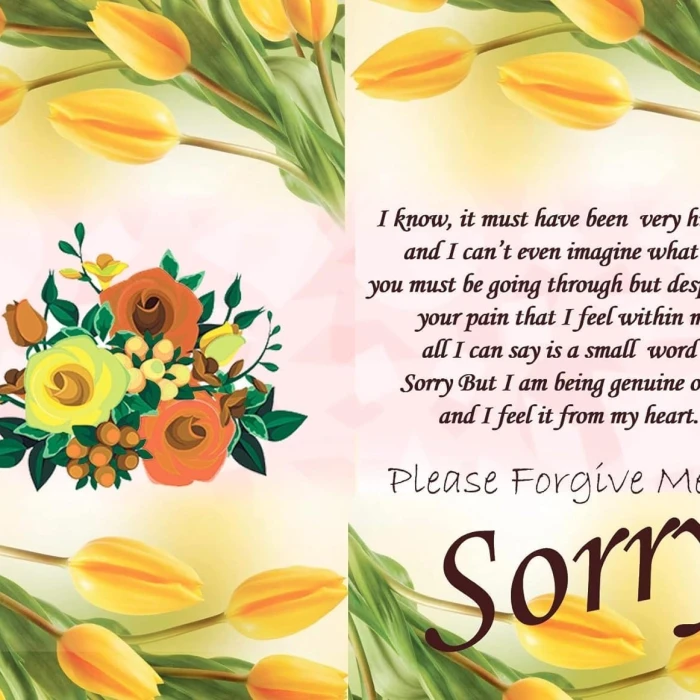 Apology Gift Combo Card, Chocolate, Teddy & Carry Bag cover image 1