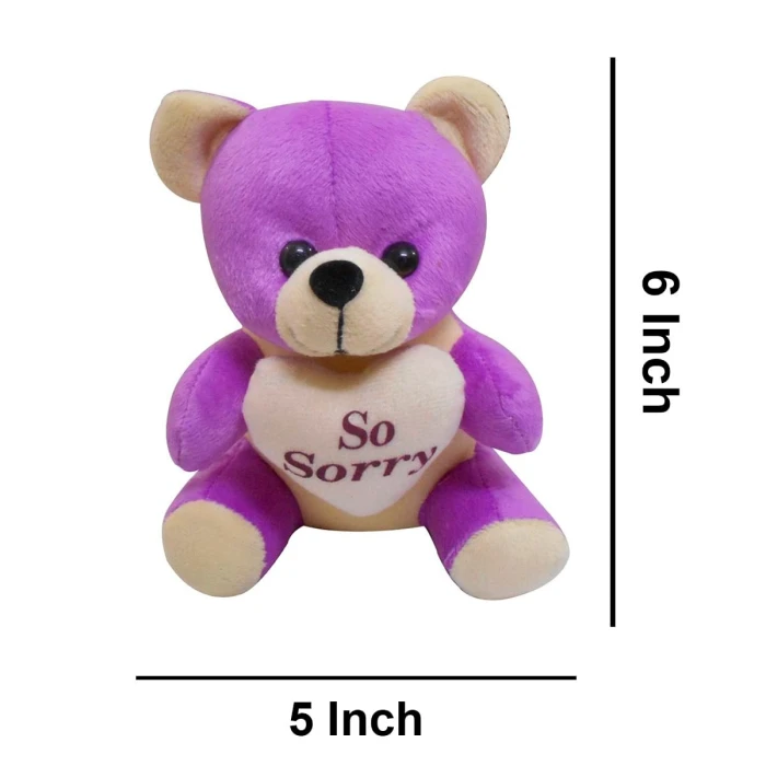 Sorry Gift Combo – Soft Teddy Bear with 5 Dairy Milk Chocolates cover image 1