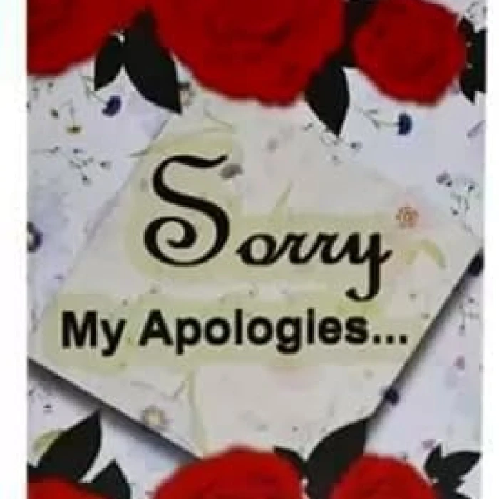 Sorry Gift Combo – Greeting Card, Sorry Teddy Bear & Romantic Couple Showpiece cover image 5