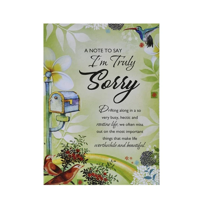 Apology Gift Pack Sorry Card, Soft Teddy, 12 Scented Roses & Chocolate cover image 3