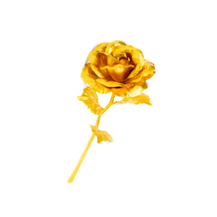 Sorry Gift Box Greeting Card, 6 Red Roses Gold Dipped Soft Teddy & Chocolate cover image 6