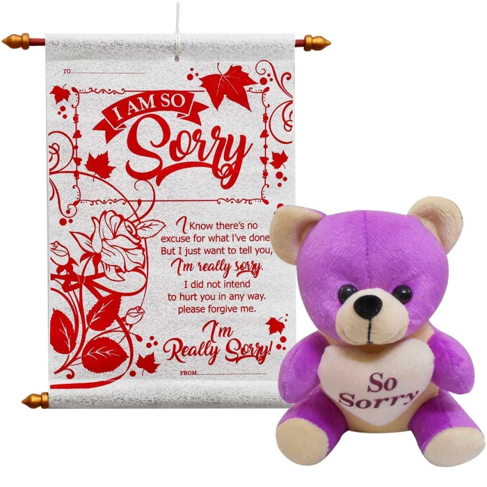 Sorry Gift Combo – Apology Greeting Card & Small Soft Teddy Bear cover image 4