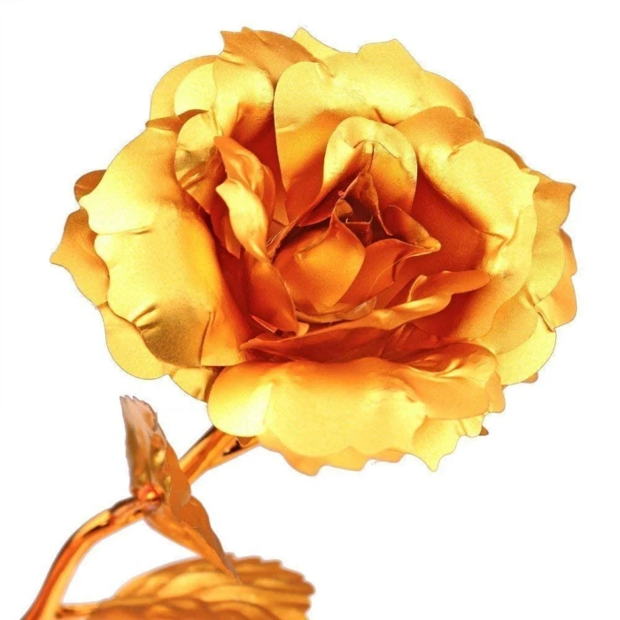 Sorry Gift Combo – Apology Card, Golden Rose & Dairy Milk Fruit & Nut Chocolates cover image 5