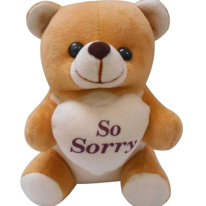 Sorry Gift for Girlfriend Scroll Card, Chocolates & Teddy Basket cover image 3