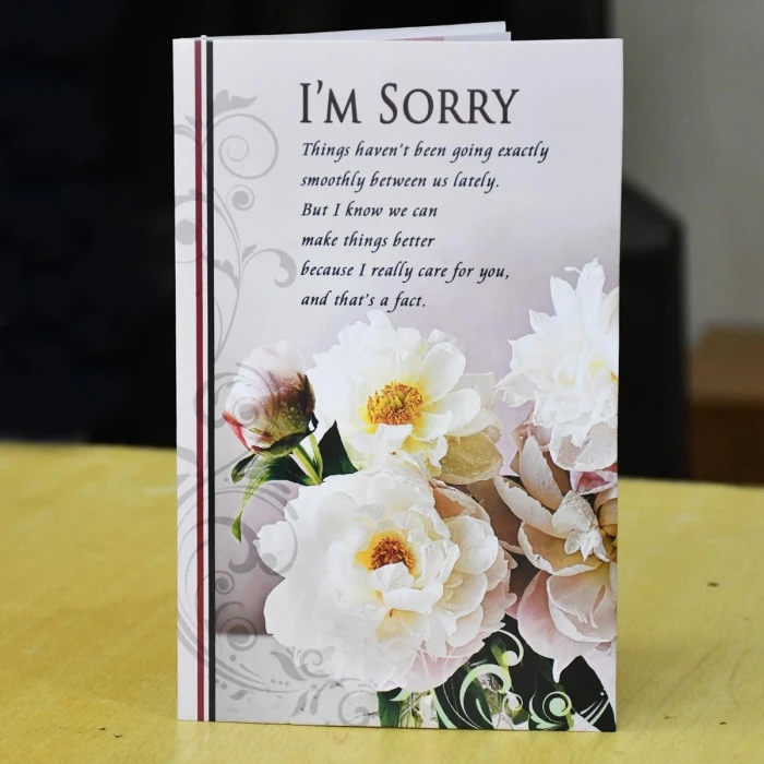 Sorry Gift Box – Apology Greeting Card, Soft Toy & 12 Red Roses cover image 5