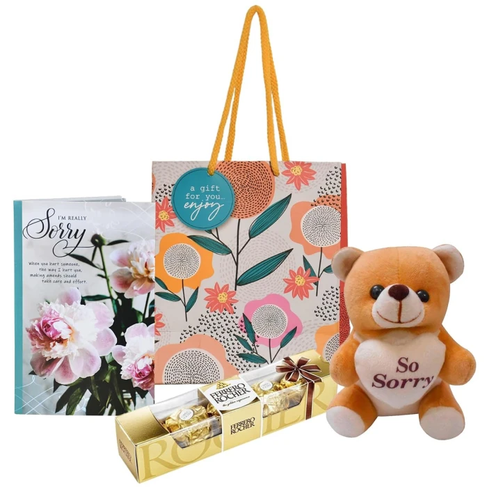 Sorry Gift Combo for Girlfriend Card, Teddy Bear, Chocolate & Carry Bag