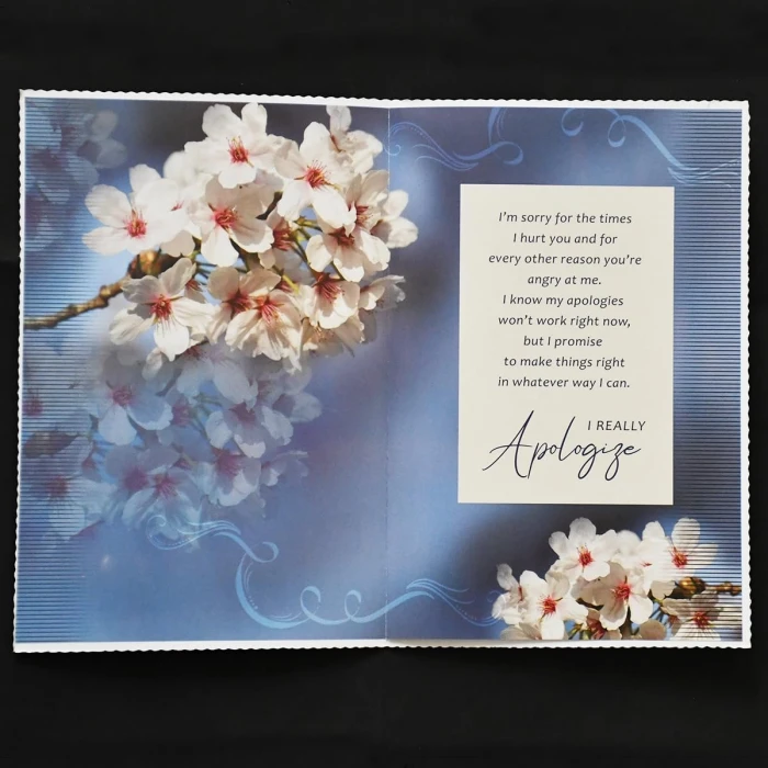 Apology Gift Set Sorry Card, Chocolate & Soft Teddy Bear cover image 3