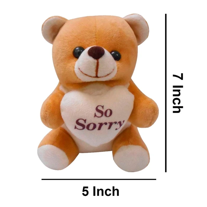 Sorry Gift Combo for Girlfriend Card, Teddy Bear, Chocolate & Carry Bag cover image 5