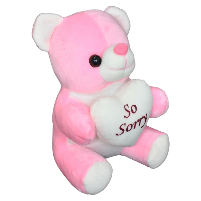 Apology Gift Combo Card, Chocolate, Teddy & Carry Bag cover image 5