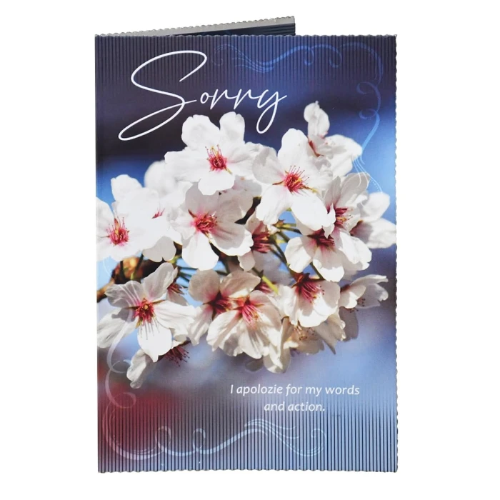 Sorry Gift Combo – Apology Greeting Card & Small Soft Teddy Bear cover image 1