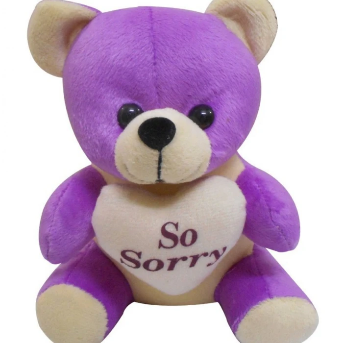 Sorry Gift Combo – Cute Teddy Bear & Apology Greeting Card cover image 1