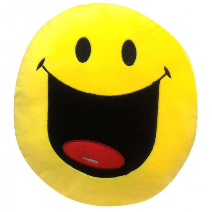 Sorry Gift Combo – Apology Card, Smiley Cushion & Message Bottle cover image 3